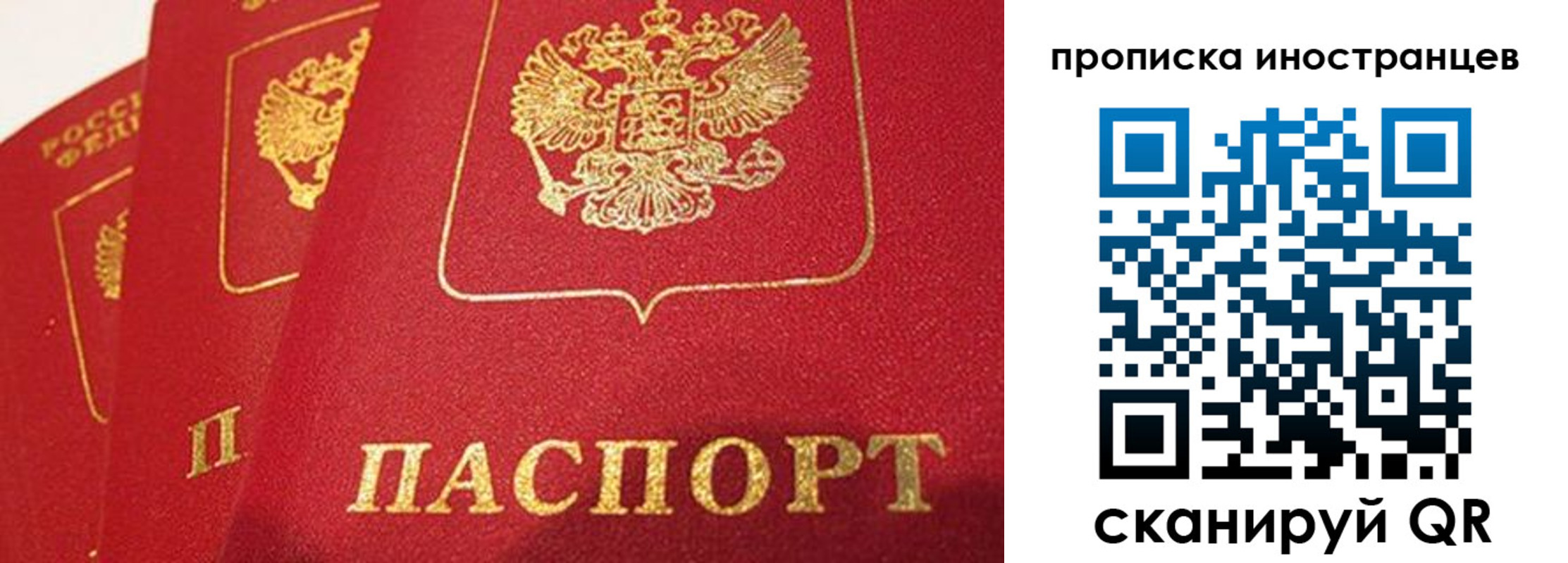 прописка поиск в Заполярном
